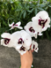 Орхідея Phal. Charming Panda '1224' (Чармінг Панда 1224) &mdash; підліток 2,5", квіти 9,5 см ЧЕРВЕНЬ В30 фото 3