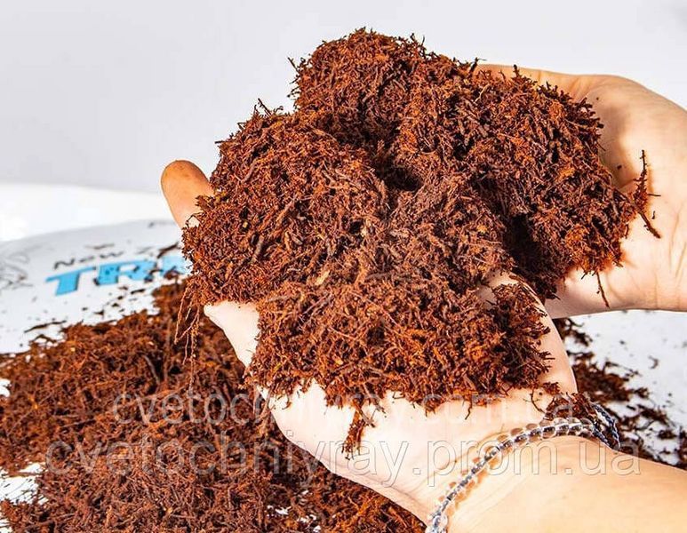 Субстрат Tree Fern (деревоподібна папороть) для орхідей та тераріумів 1 л (ручне фасування) 1016-65 фото