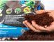 Субстрат Tree Fern (деревоподібна папороть) для орхідей та тераріумів 1 л (ручне фасування) 1016-65 фото 1