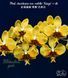 Орхідея Phal. stuartiana var. nobilis 'Xiuya' &times; sib (Стюартіана нобіліс Сюя &times; sib) &mdash; підліток 1,7" ЧЕРВЕНЬ В55 фото 1