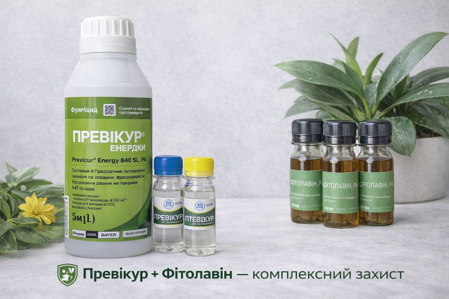 Превікур Енерджі та Фітолавін — комплексний захист рослин від грибкових і бактеріальних хвороб