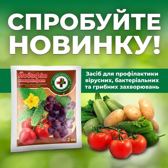 Йодофіт концентрат — це ефективний засіб для профілактики та лікування вірусних, бактеріальних і грибкових захворювань